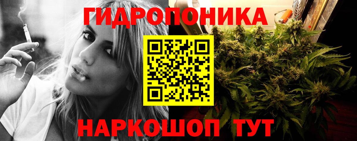 Бошки марихуана AK-47  Шишки марихуана AK-47  Бор  Каннабис индика  Вход с VPN 